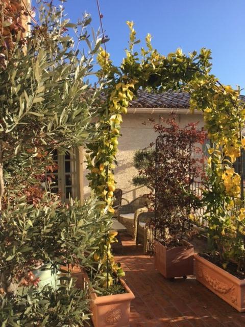 مبيت وإفطار Chantemerle-lès-Grignan Domaine Le Bois Des Dames المظهر الخارجي الصورة