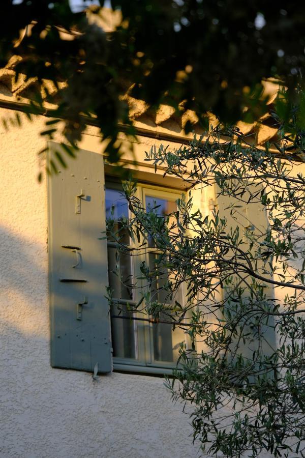 مبيت وإفطار Chantemerle-lès-Grignan Domaine Le Bois Des Dames المظهر الخارجي الصورة