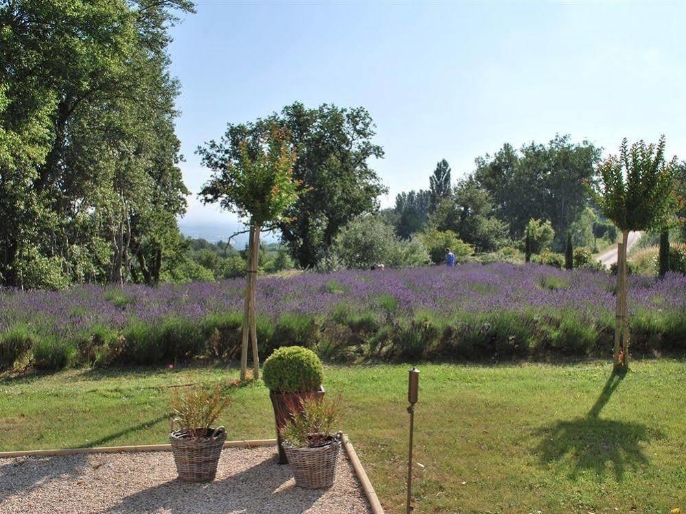مبيت وإفطار Chantemerle-lès-Grignan Domaine Le Bois Des Dames المظهر الخارجي الصورة